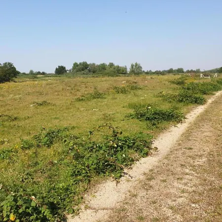 Dierenweide Upstairs דירה