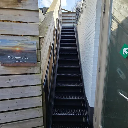 Dierenweide Upstairs * Goedereede