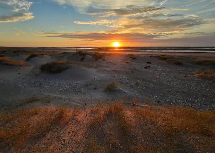 Dierenweide Upstairs Lejlighed *