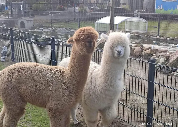 شقة Dierenweide Upstairs