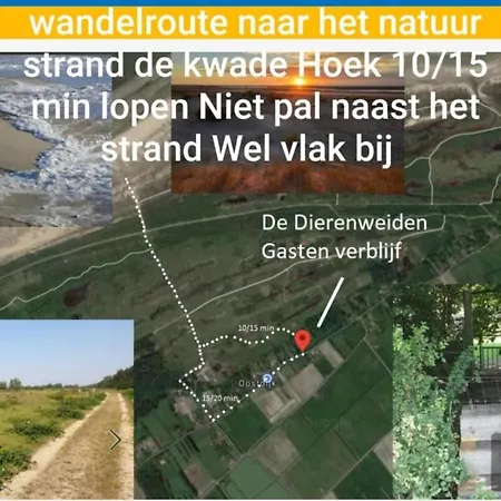 Dierenweide Upstairs