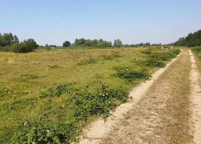 Dierenweide Upstairs Apartman